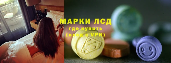индика Бикин