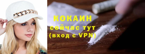 ECSTASY Дмитриев