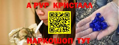 СК Кингисепп