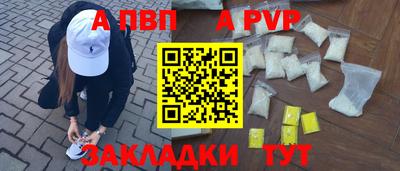 СК Кингисепп