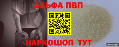 СК Кингисепп