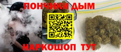 индика Балахна