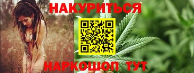 СК Кингисепп
