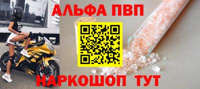 СК Кингисепп