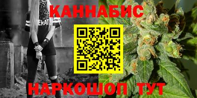 СК Кингисепп