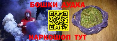 СК Кингисепп