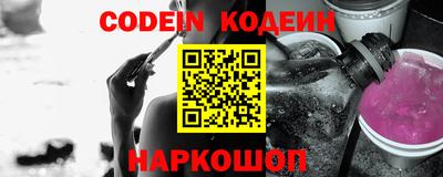 СК Кингисепп