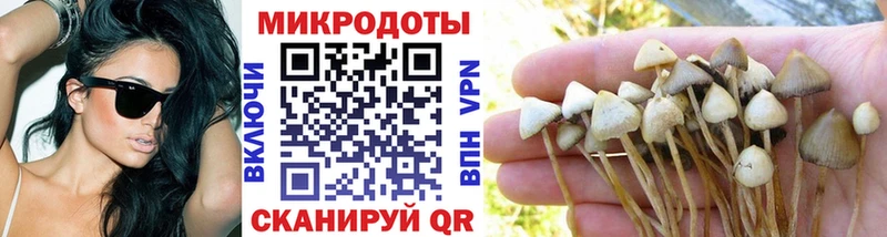 наркота  Барабинск  Галлюциногенные грибы прущие грибы 